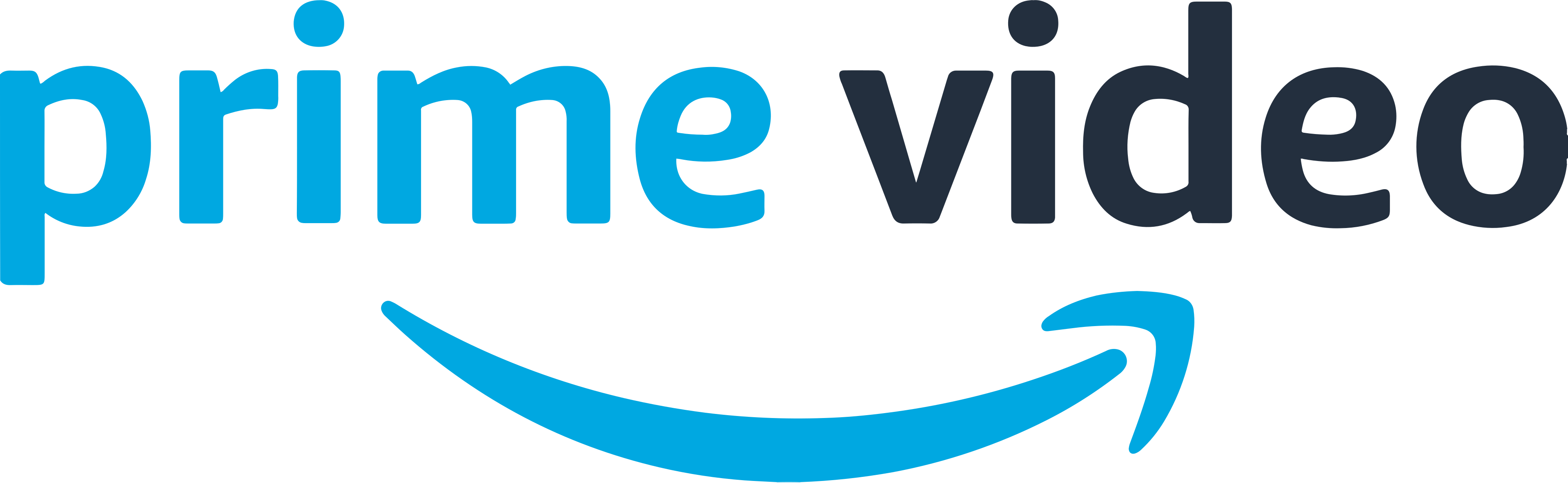 Network logo
